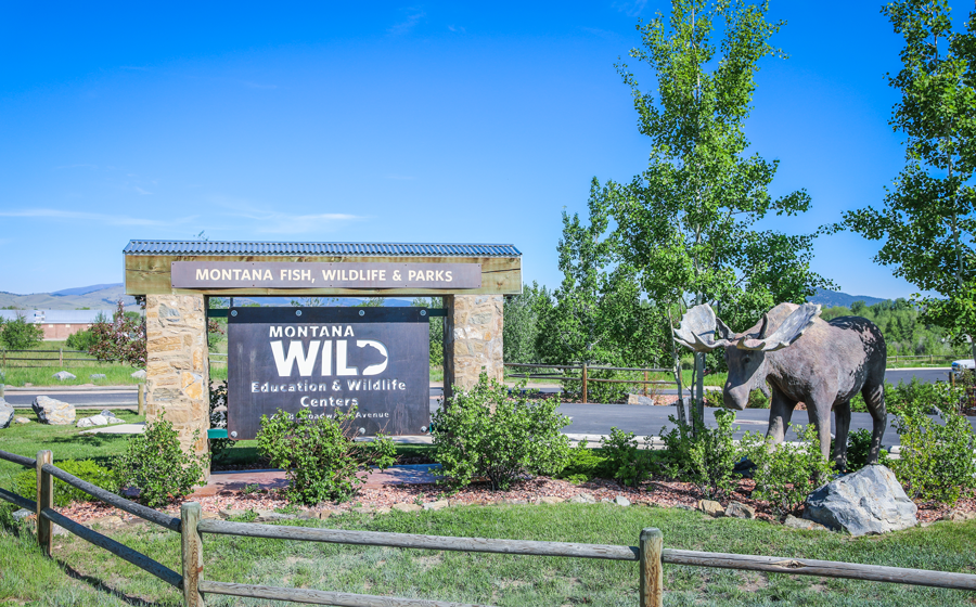 Montana WILD entrance sign