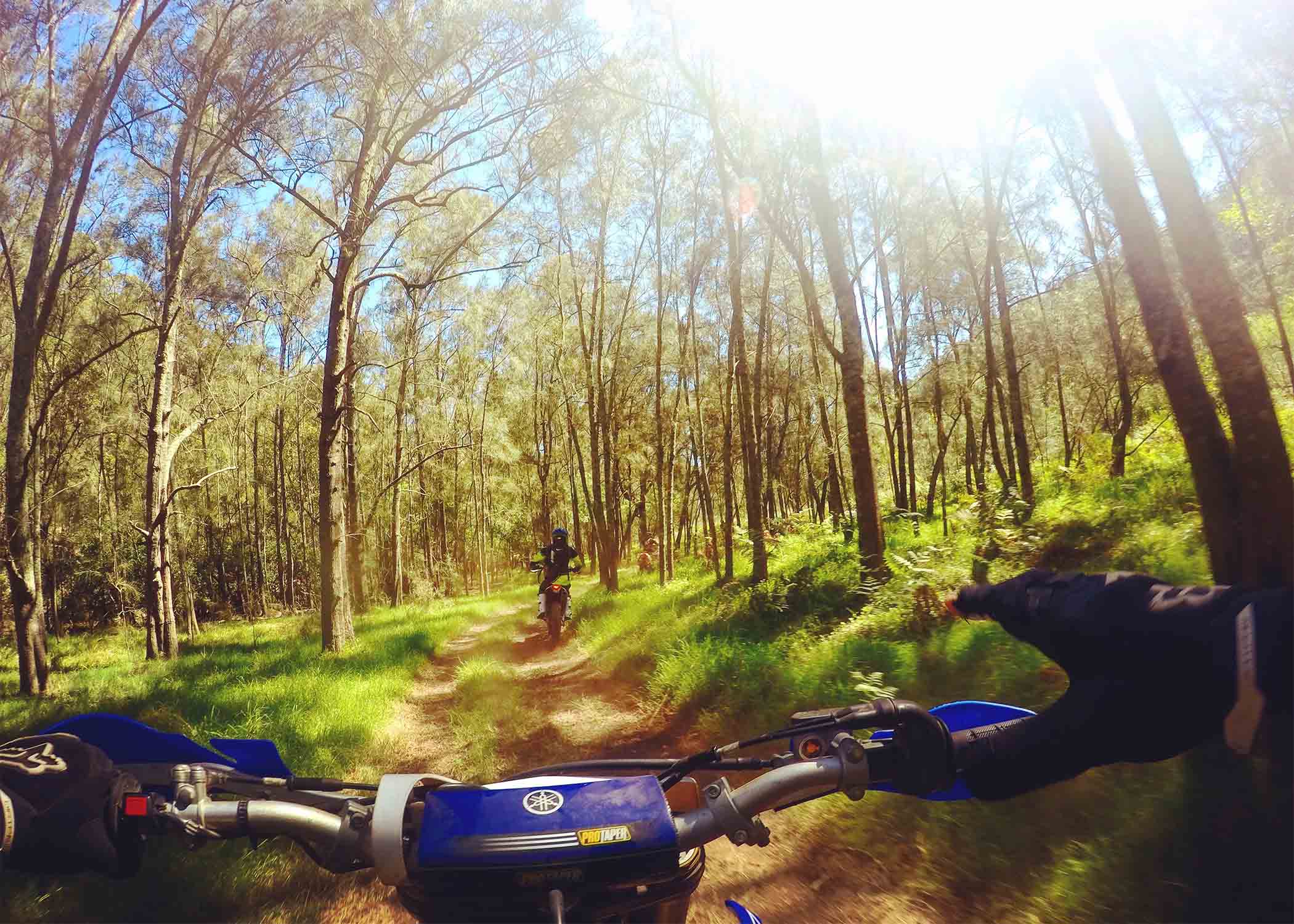 Dirt bikes in the woods