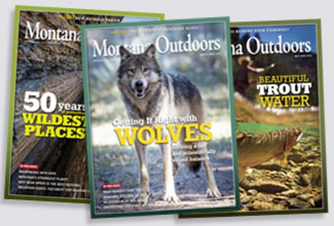 2014 covers