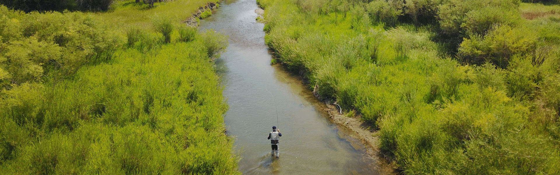 Fly fishing a Montana stream