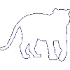 Mountain lion icon