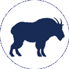 Mountain goat icon