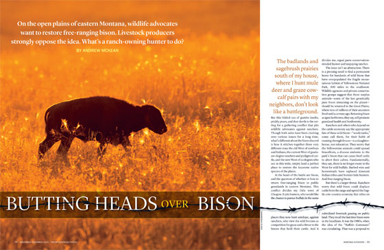 A bison on a prairie.