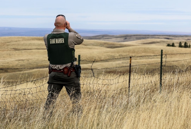 Photo of warden glassing