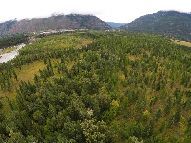 Bad Rock Canyon WMA