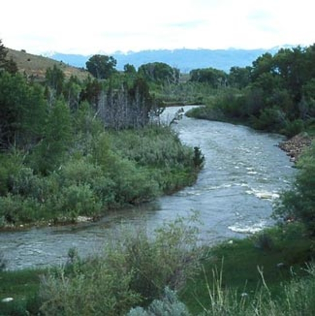 Ruby River