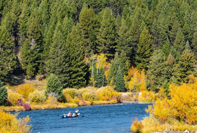 Madison River