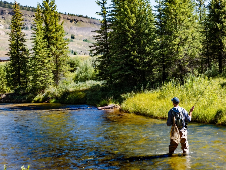 WHAT'S IN YOUR FLY BOX? - Montana Hunting and Fishing Information