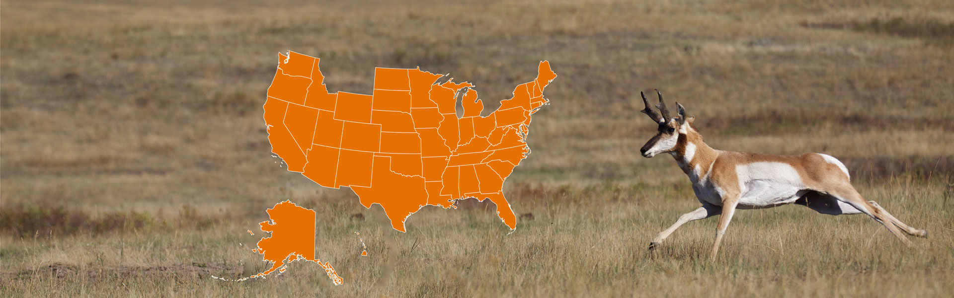 Nonresident licenses graphic