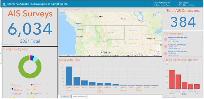 Monitoring Dashboard