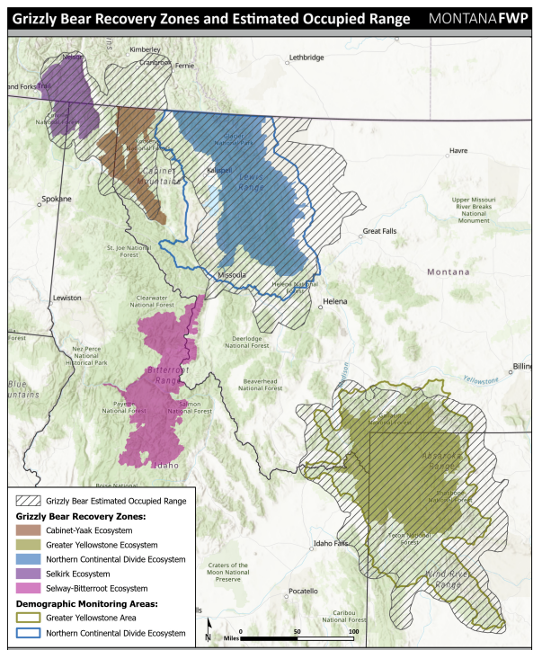 Conservation At Home - Bears (U.S. National Park Service)