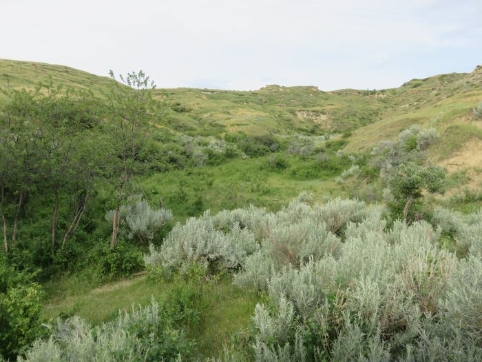 Ash Coulee Easement