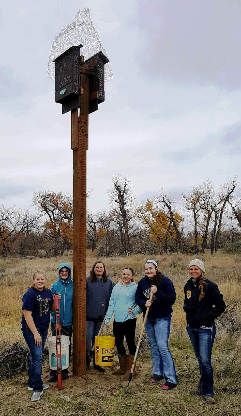 Miles City girl scout troop with bat box
