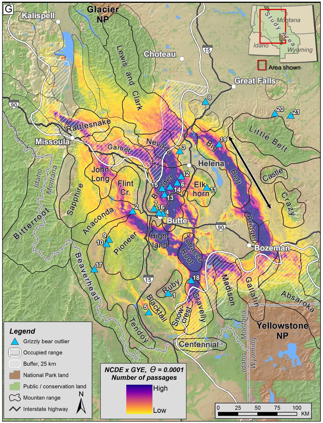 Grizzly dispersal routes