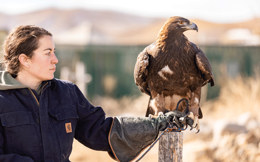Ali Pons holding an golden eagle