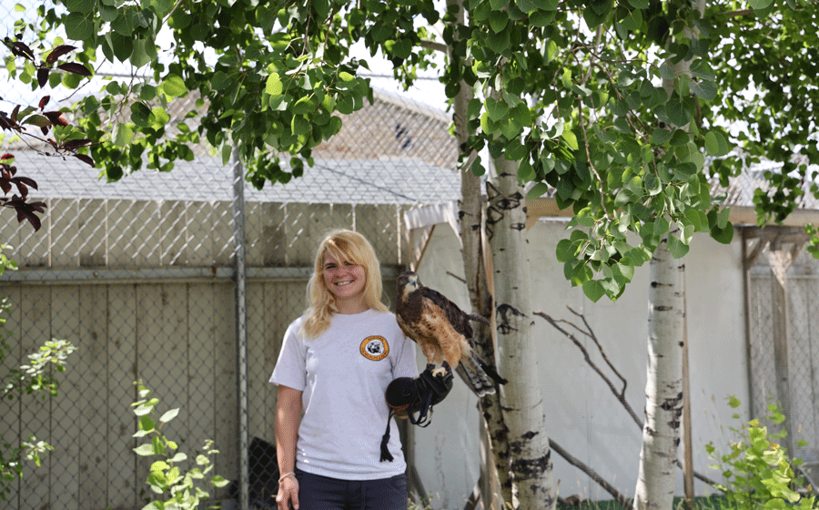Montana WILD Wildlife Rehabilitation Center Staff Montana FWP