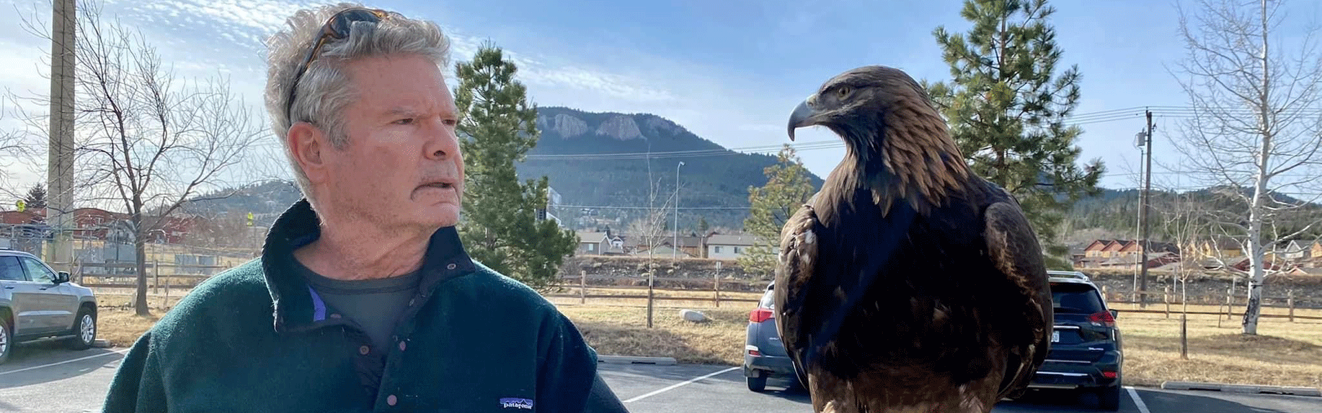 man standing next to golden eagle