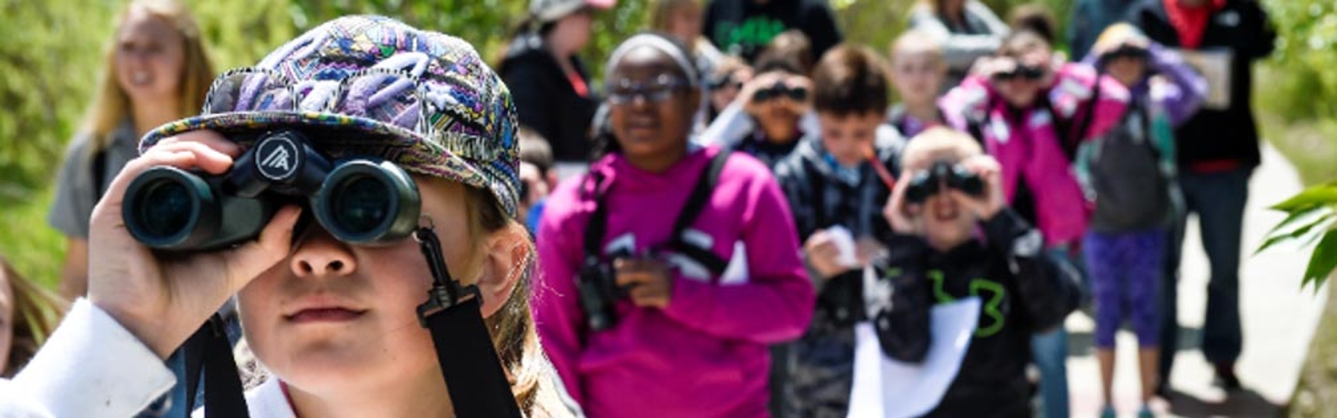 Birding basics walk