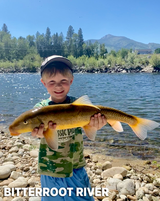 boy holding sucker fish