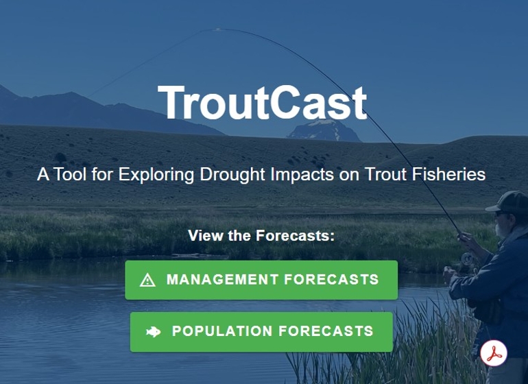 Screengrab of TroutCast application