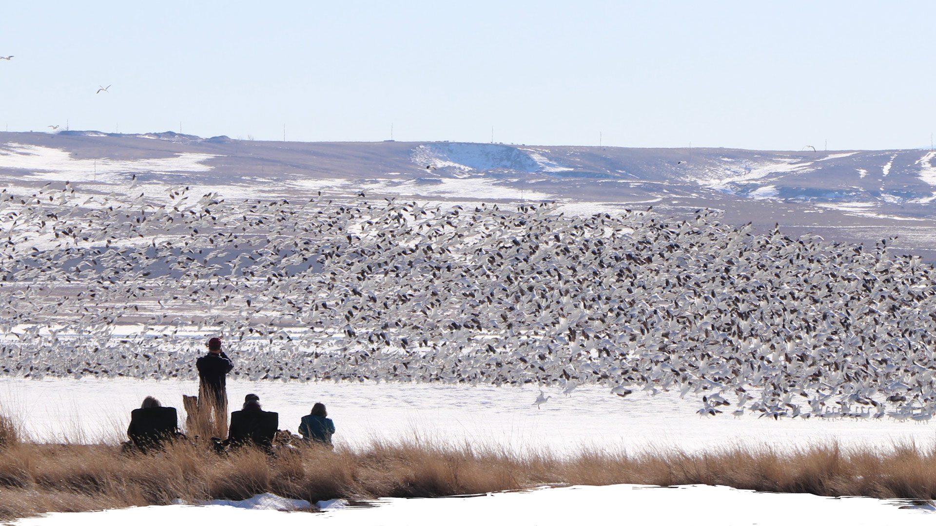 Bird watchers at Freezout Lake