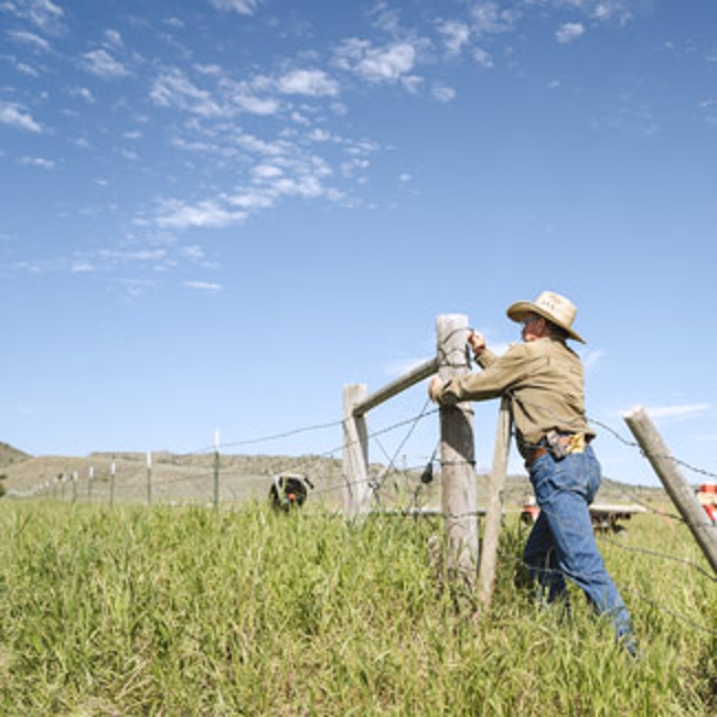 Landowner mending fence