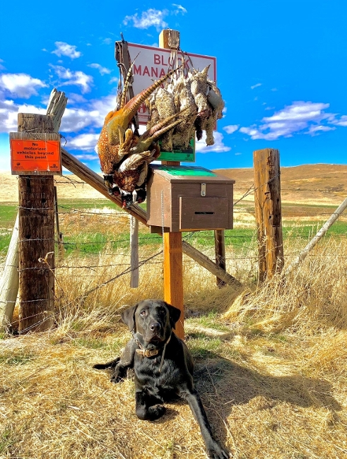 Photo of hunter at BM sign in box