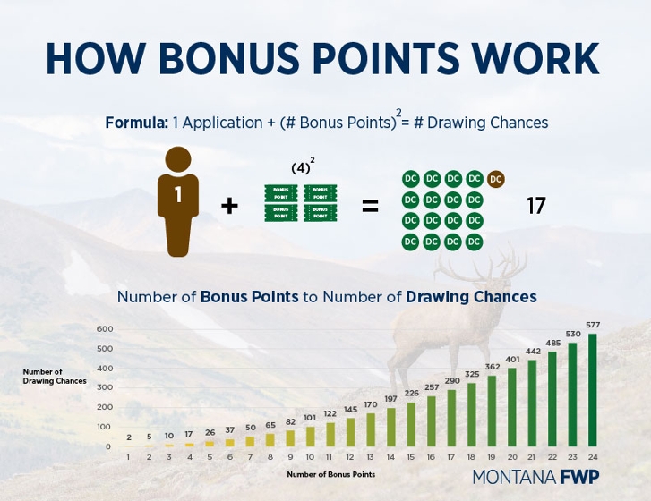 Bonus point graphic