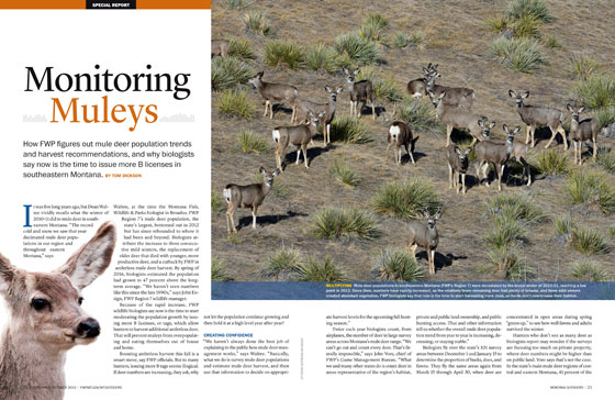 Monitoring Muleys article