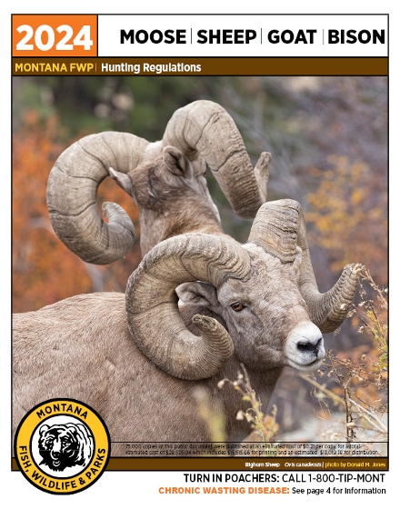 19+ Montana Elk Draw Dates 2023
