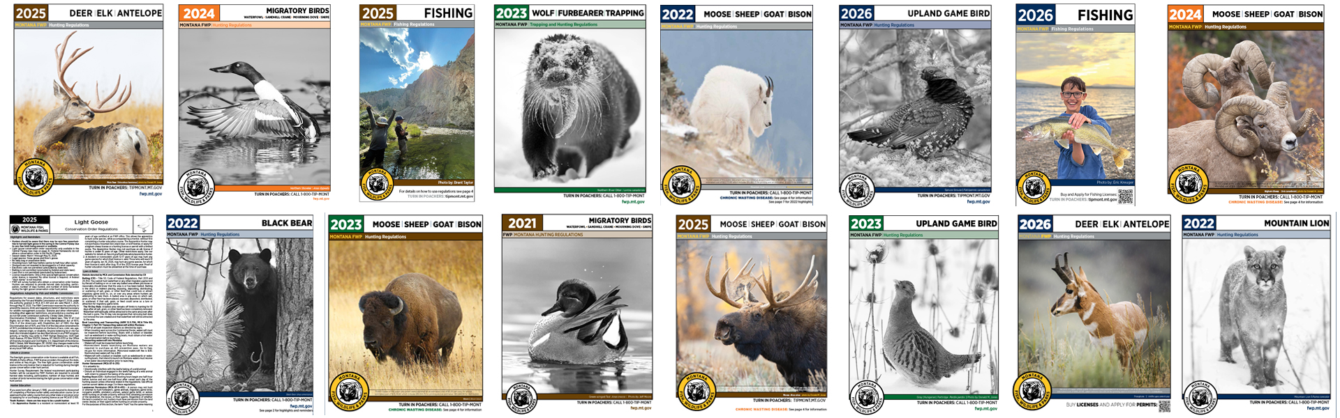 Graphic with FWP logo