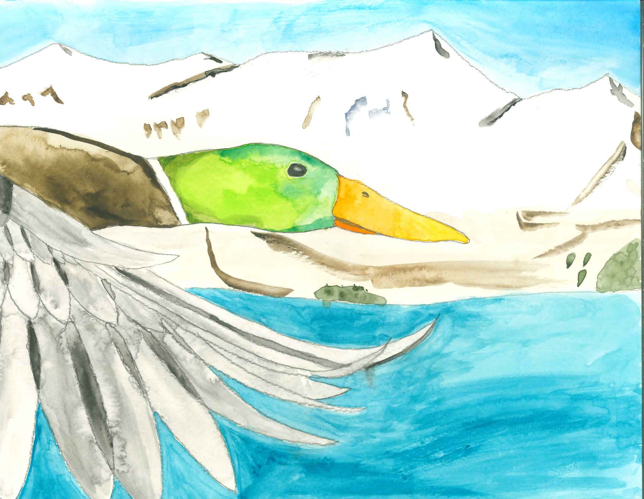 Photo of contest entry
