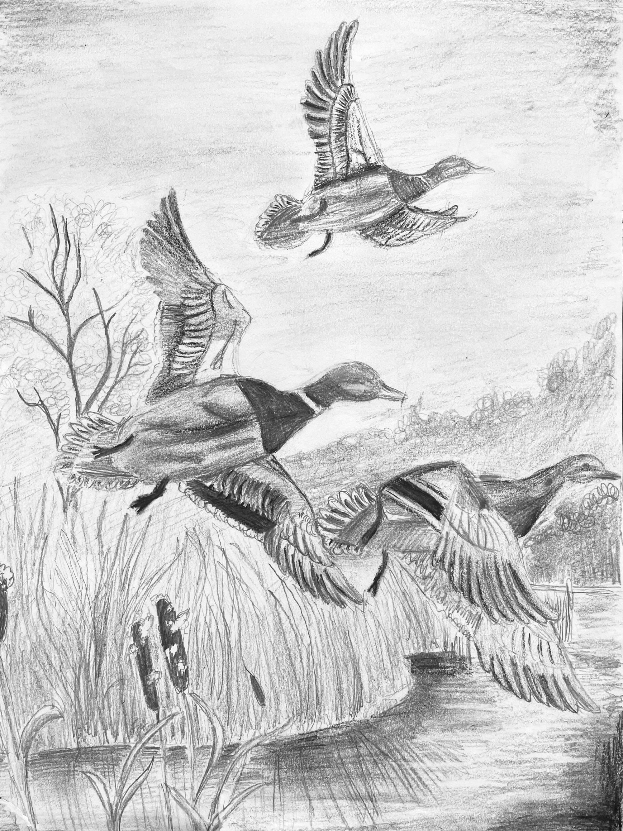 Photo of contest entry