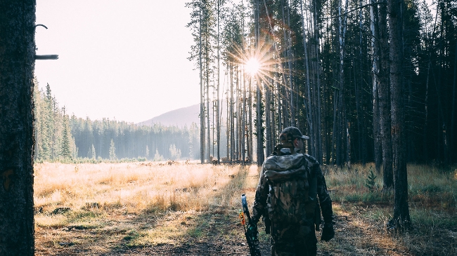 Photo of archery hunter