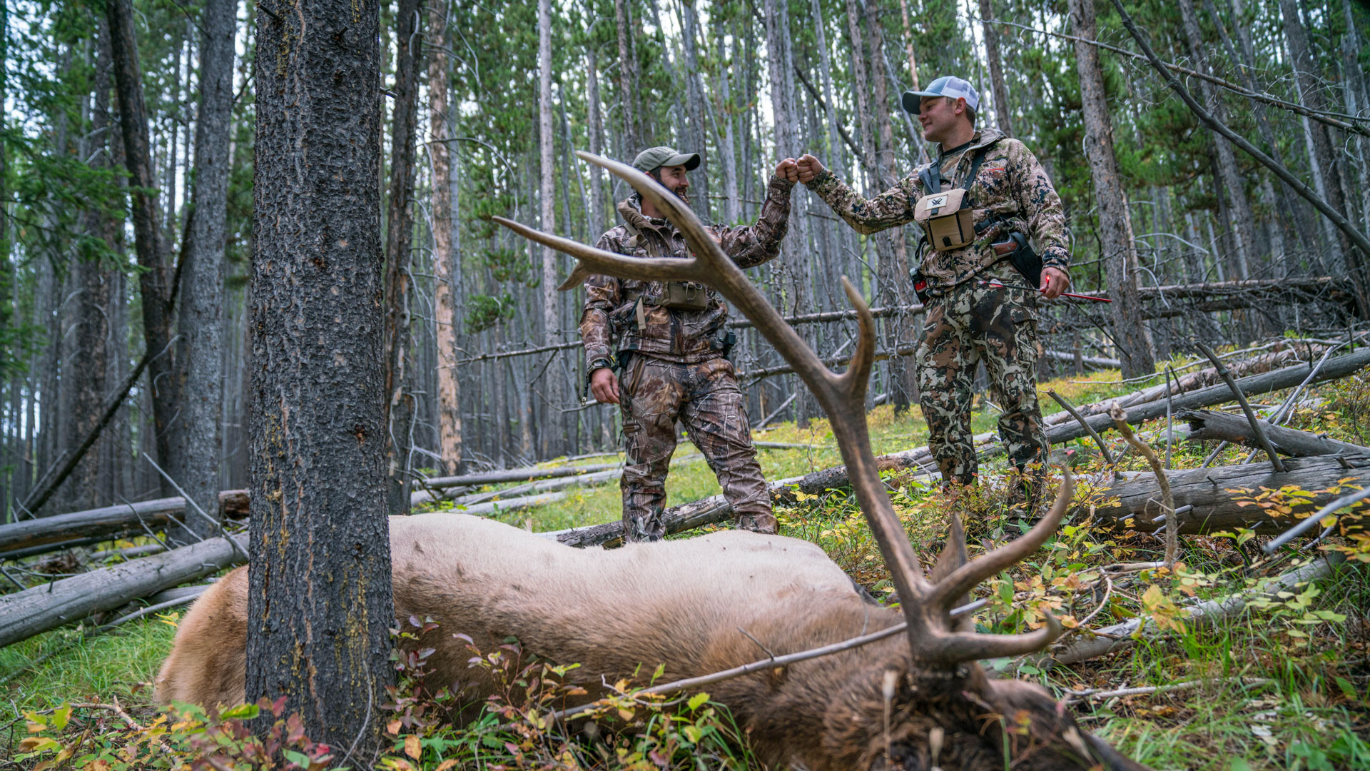 Turkey hunters