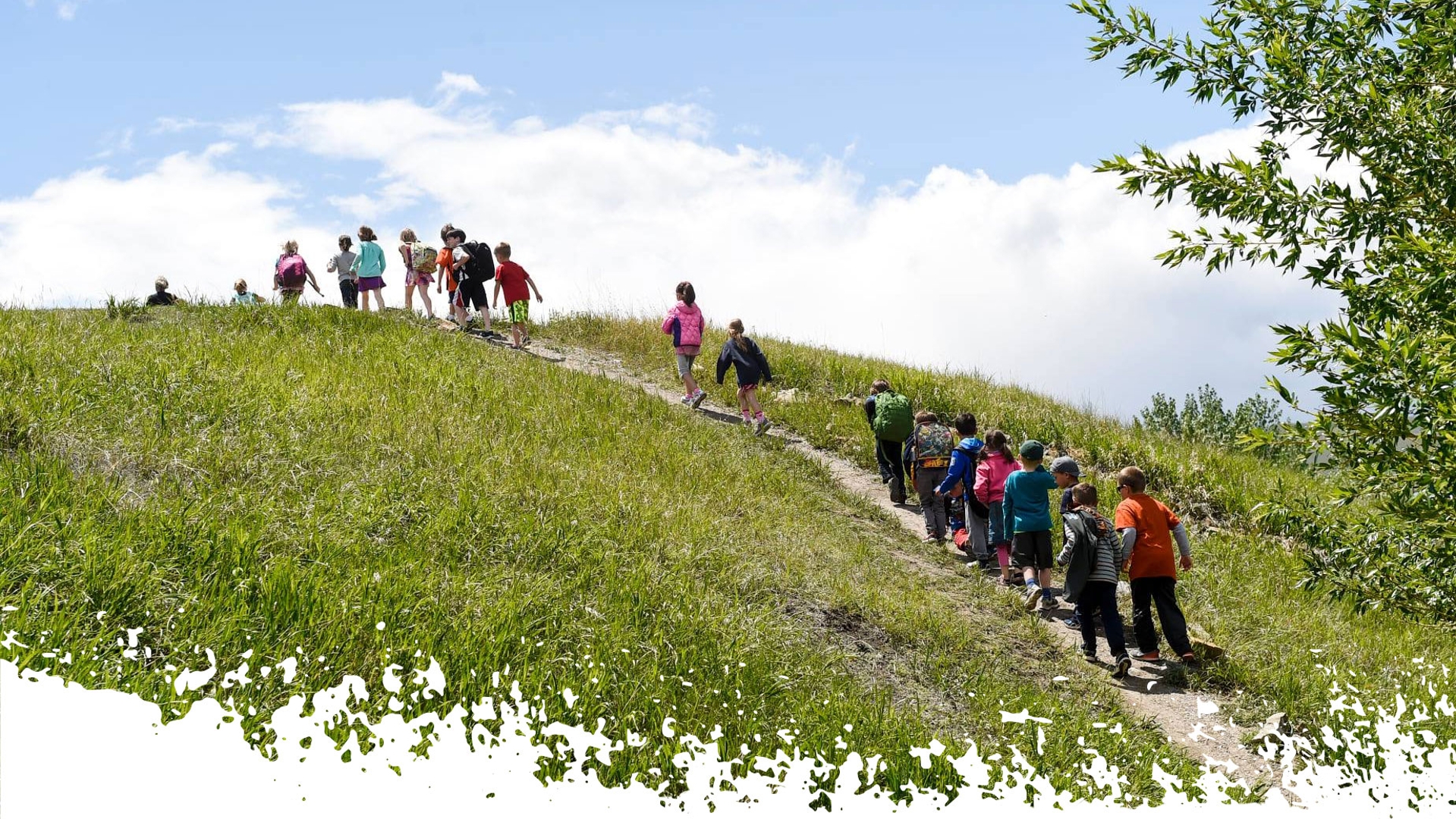 Kids on a spring hike