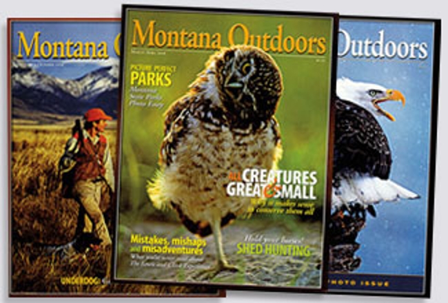 2006 covers