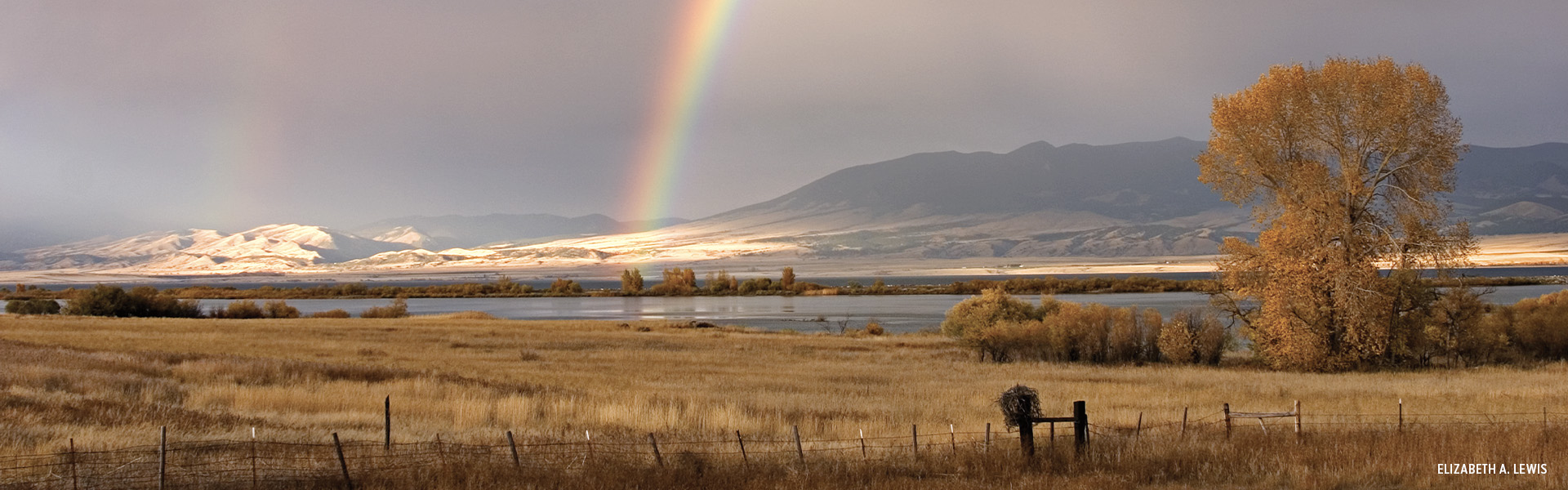 Rainbow over Canyon Ferry by Elizabeth A Lewis
