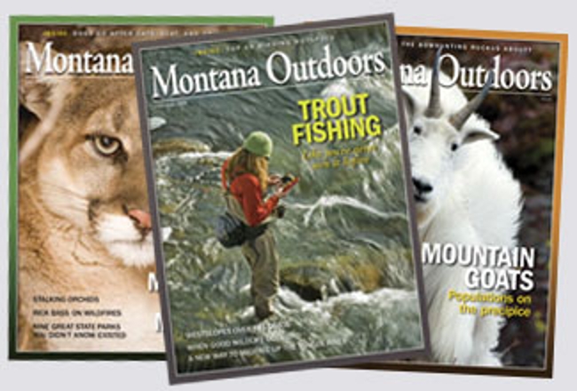 2008 covers