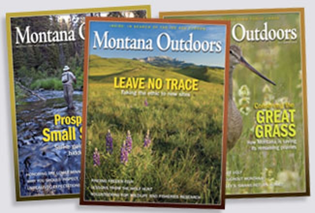 2010 covers