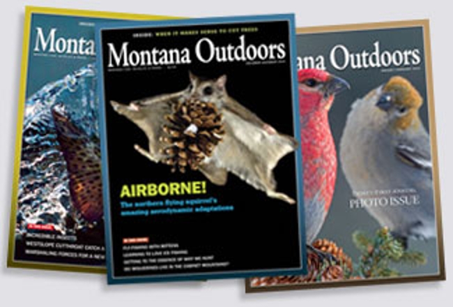 2012 covers
