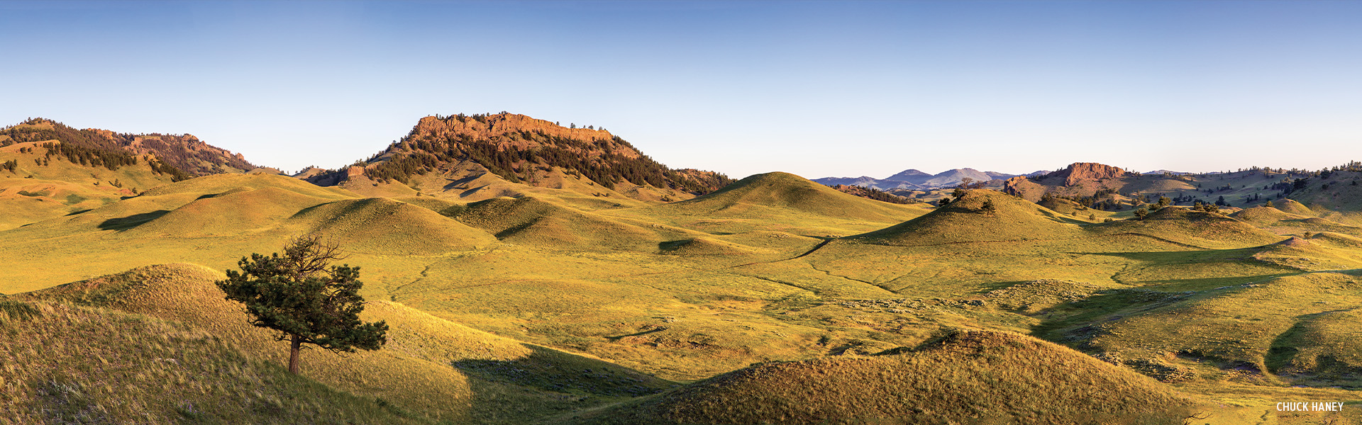 Lush hills by Chuck Haney
