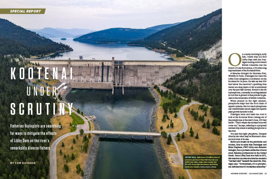 Photo of Libby Dam