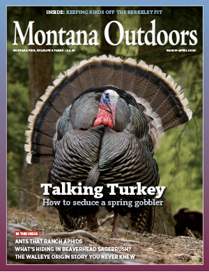 Cover image March-April 2026