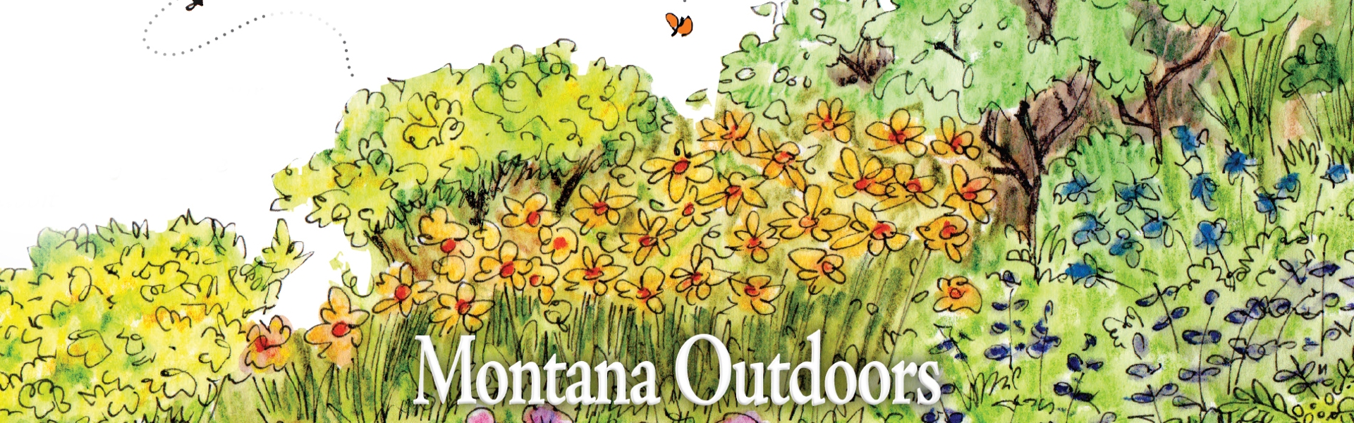 Pollinator friendly plant illustration by Nancy Seiler