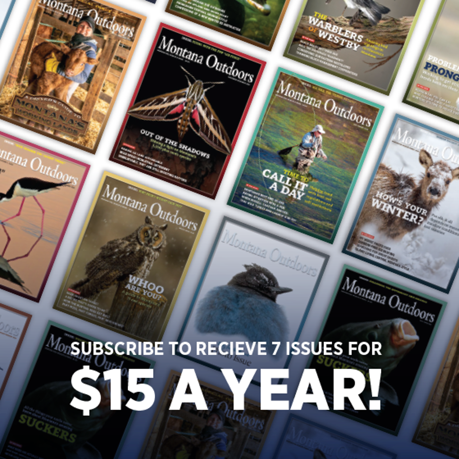 7 issues for as low as $10 a year!