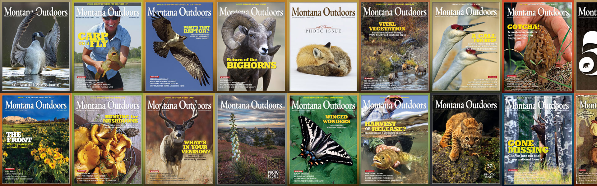 Montana Outdoors covers