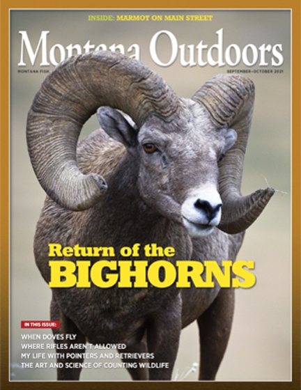 Cover of the latest issue