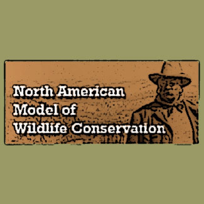 The North American Model of Wildlife Conservation graphic showing a sketch of Teddy Roosevelt.