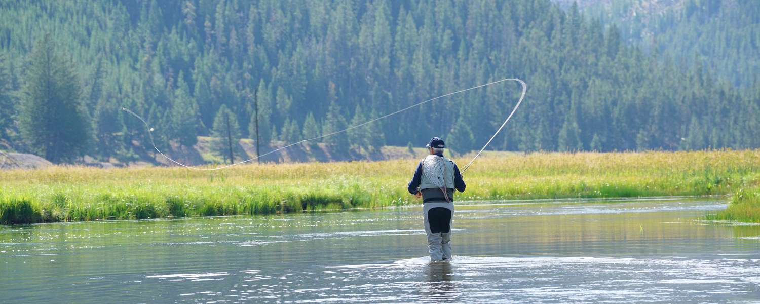 Madison River